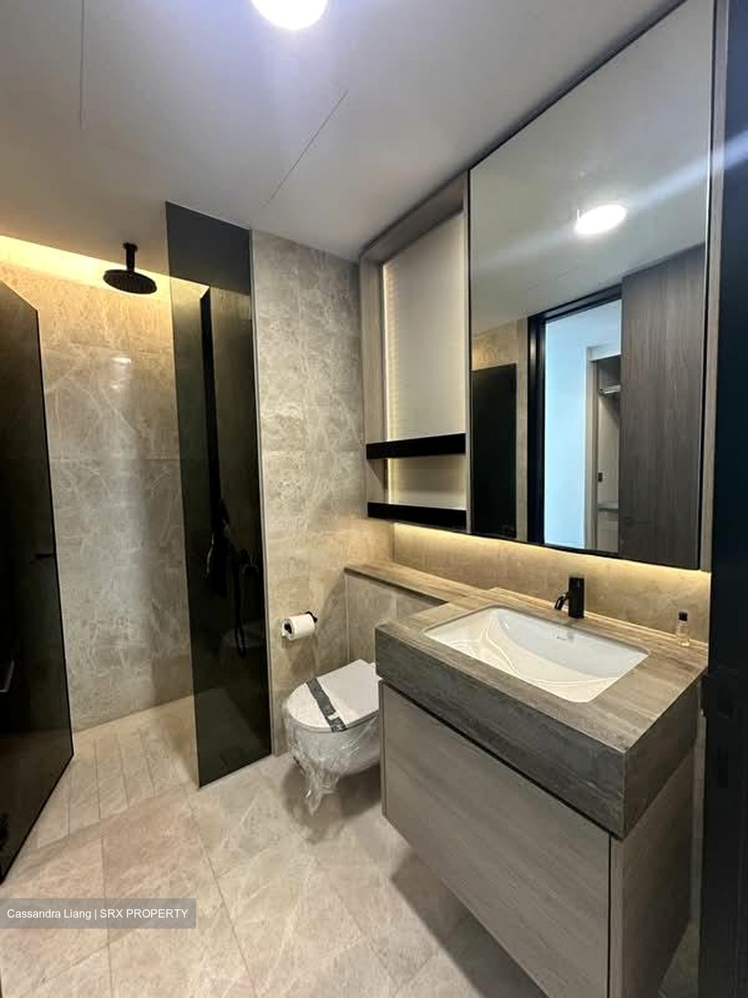 Harbourfront Avenue (D4), Condominium #583001521